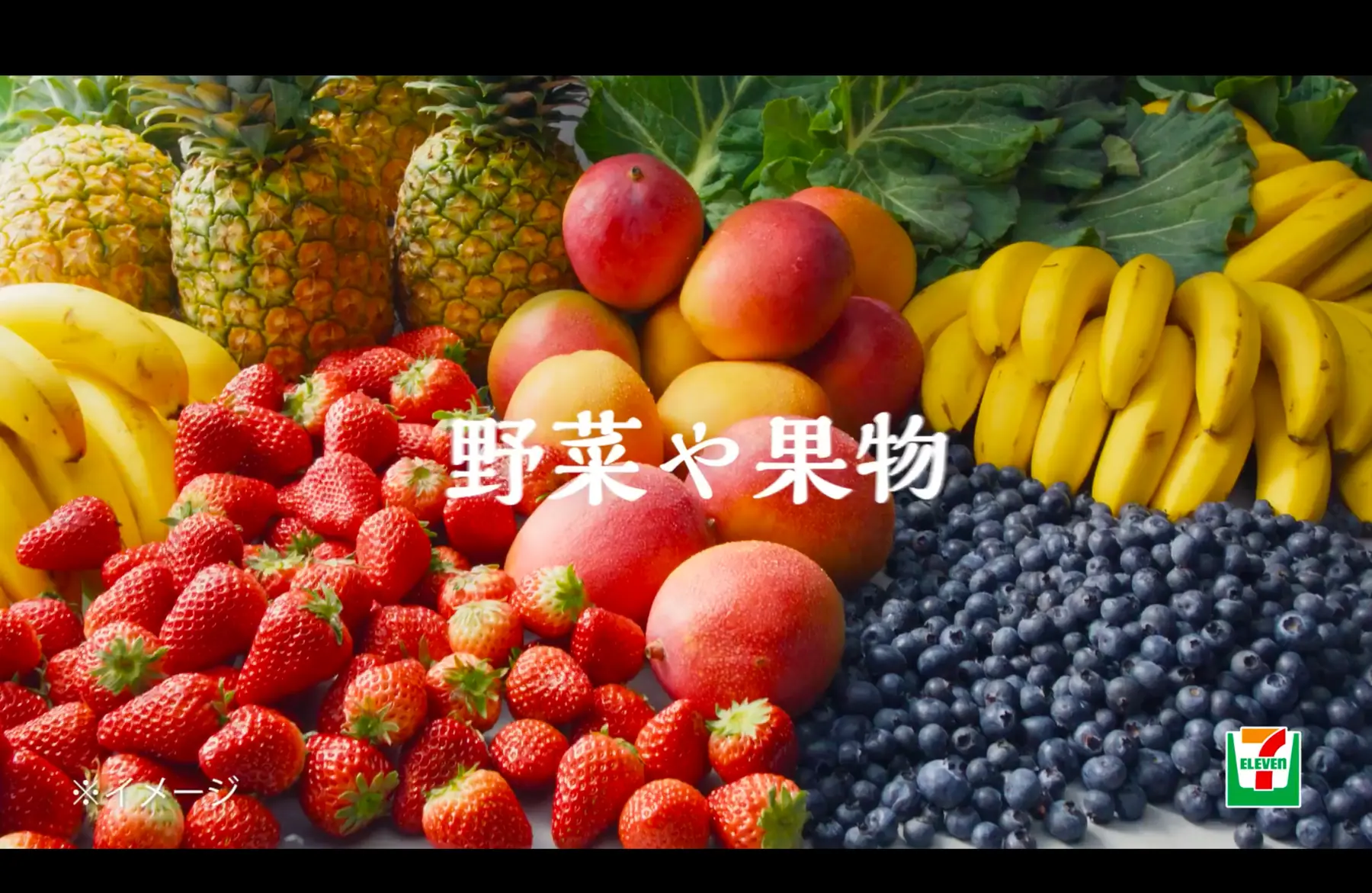 動画撮影実績 05