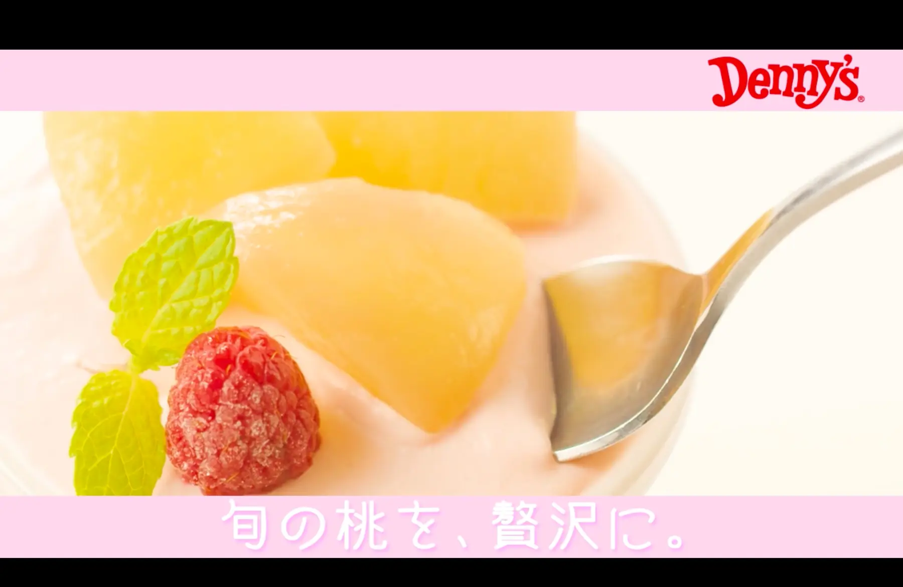 動画撮影実績 17